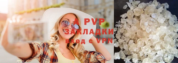 шишки Беломорск