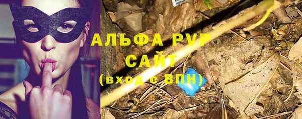 шишки Беломорск
