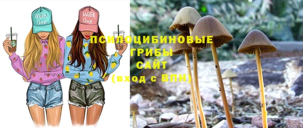 шишки Беломорск
