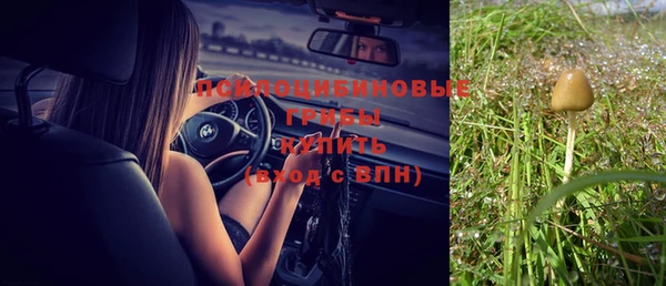 круглые Белокуриха